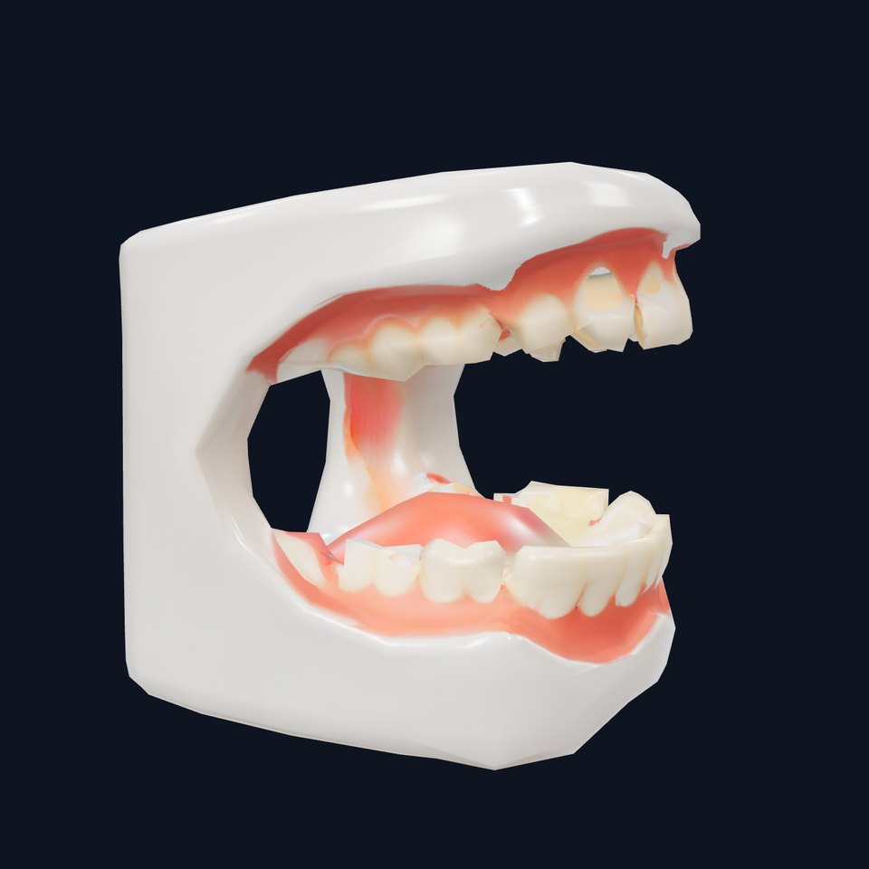 White Dental Model model pack
